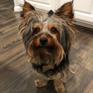 Meet your Posher, Andrea